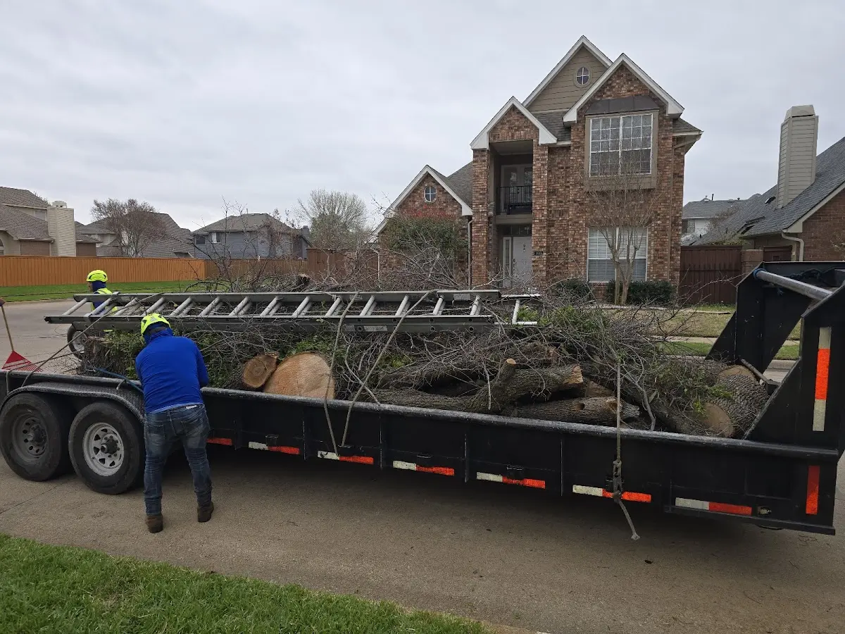Expert Tree Removal with proper safety equipment in Saint Thomas